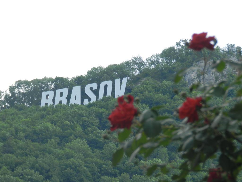 La Vita E Bella Hotel Brassó Kültér fotó